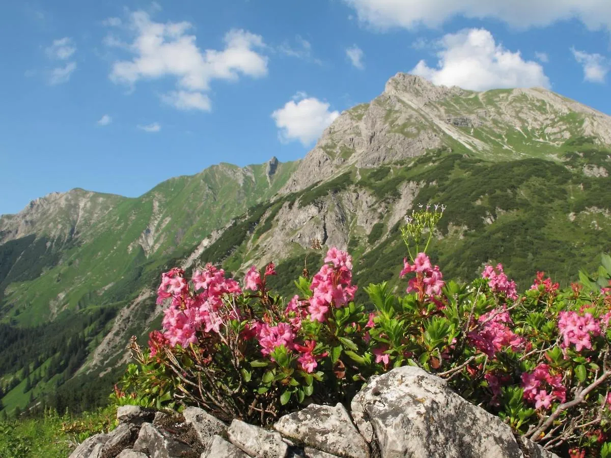 Altachhof Hotel Und Ferienanlage Saalbach-Hinterglemm