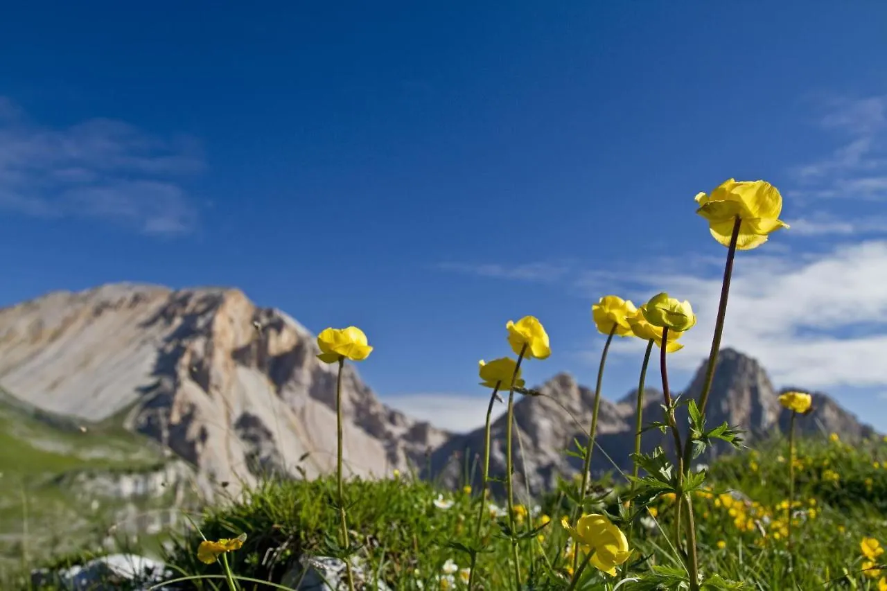 Altachhof Hotel Und Ferienanlage - Jokercard Im Sommer Inklusive Saalbach-Hinterglemm Austria