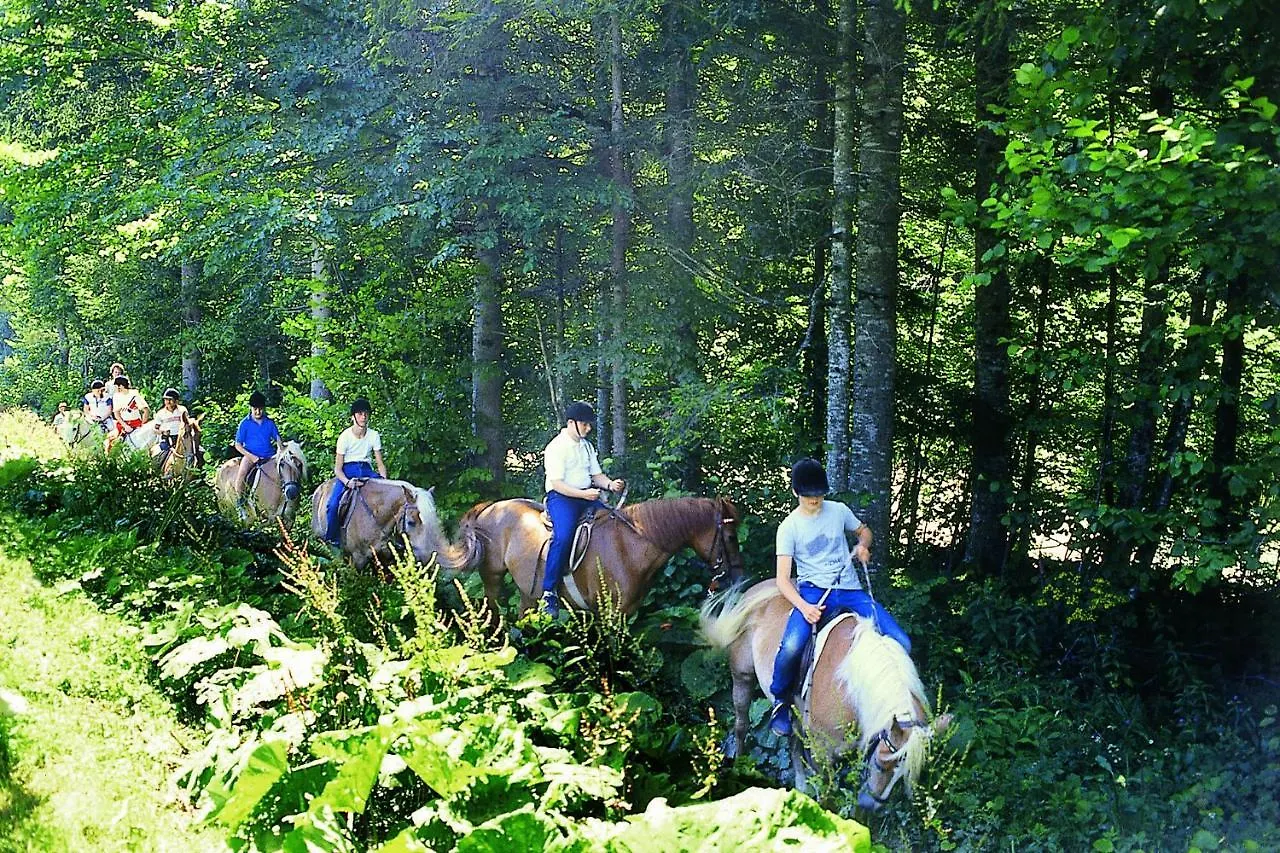 Altachhof Hotel Und Ferienanlage - Jokercard Im Sommer Inklusive Saalbach-Hinterglemm